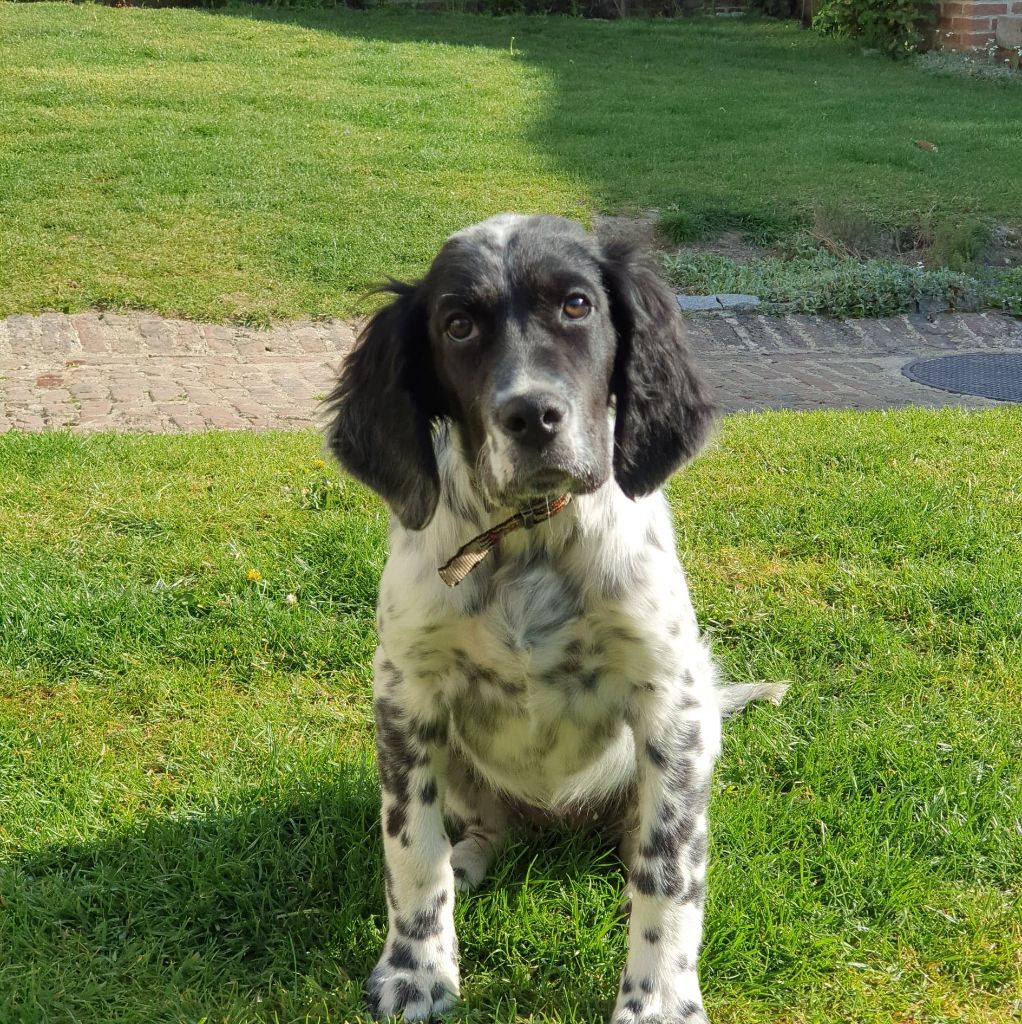 Phoebe Gwenn Du Rous